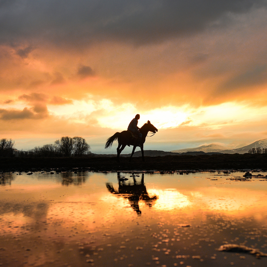 Just Jack Western Eau de Parfum 120ml