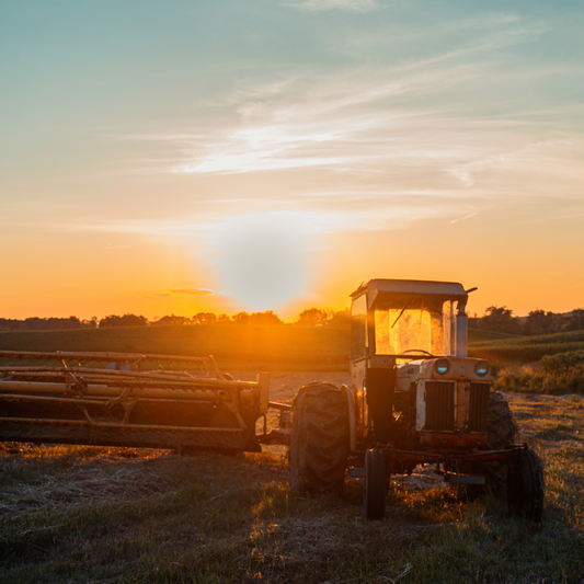 Just Jack Rustler 120ml EDP